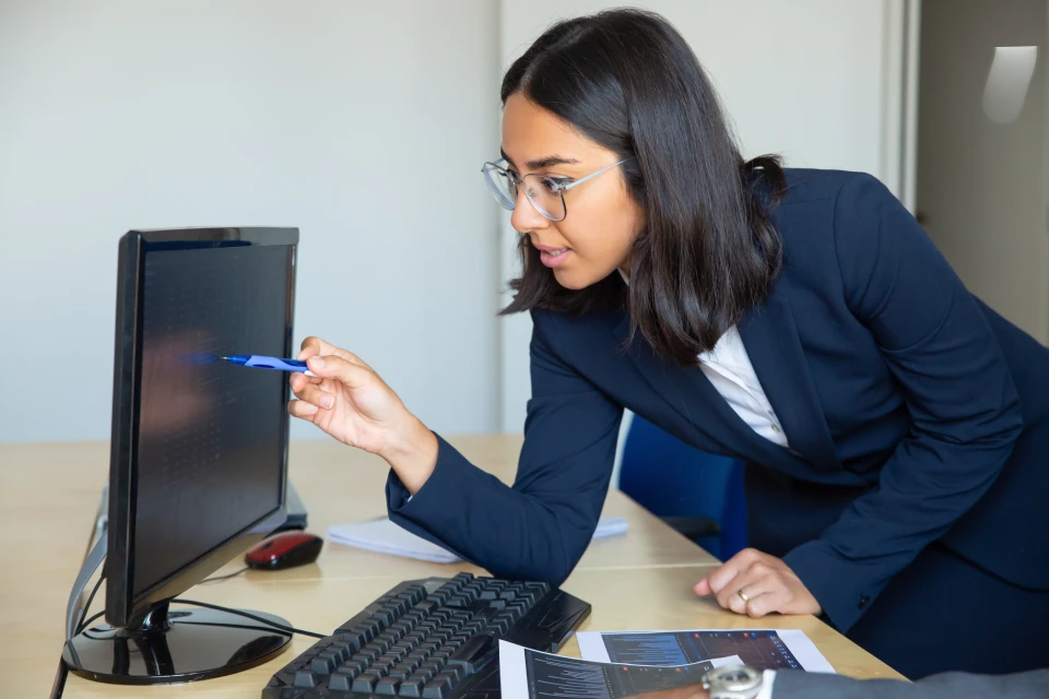 financial_auditor_job_description