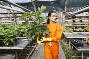 8 Best AG Related Careers To Pursue